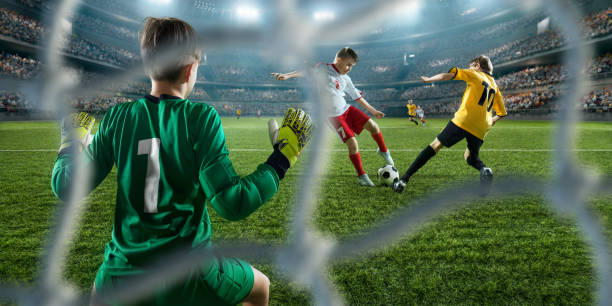 球迷们见证 球迷们见证